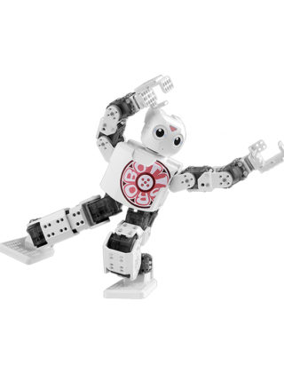 ROBOTIS Mini